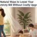 Natural Ways to Lower Your Electricity Bill
