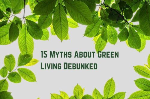 15 Myths About Green Living Debunked