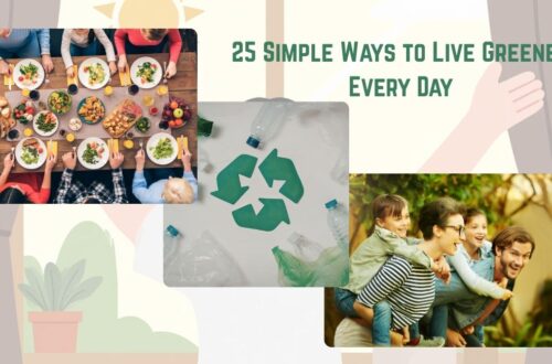 25 Simple Ways to Live Greener Every Day