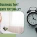 Morning Routines That Boost Energy Naturally